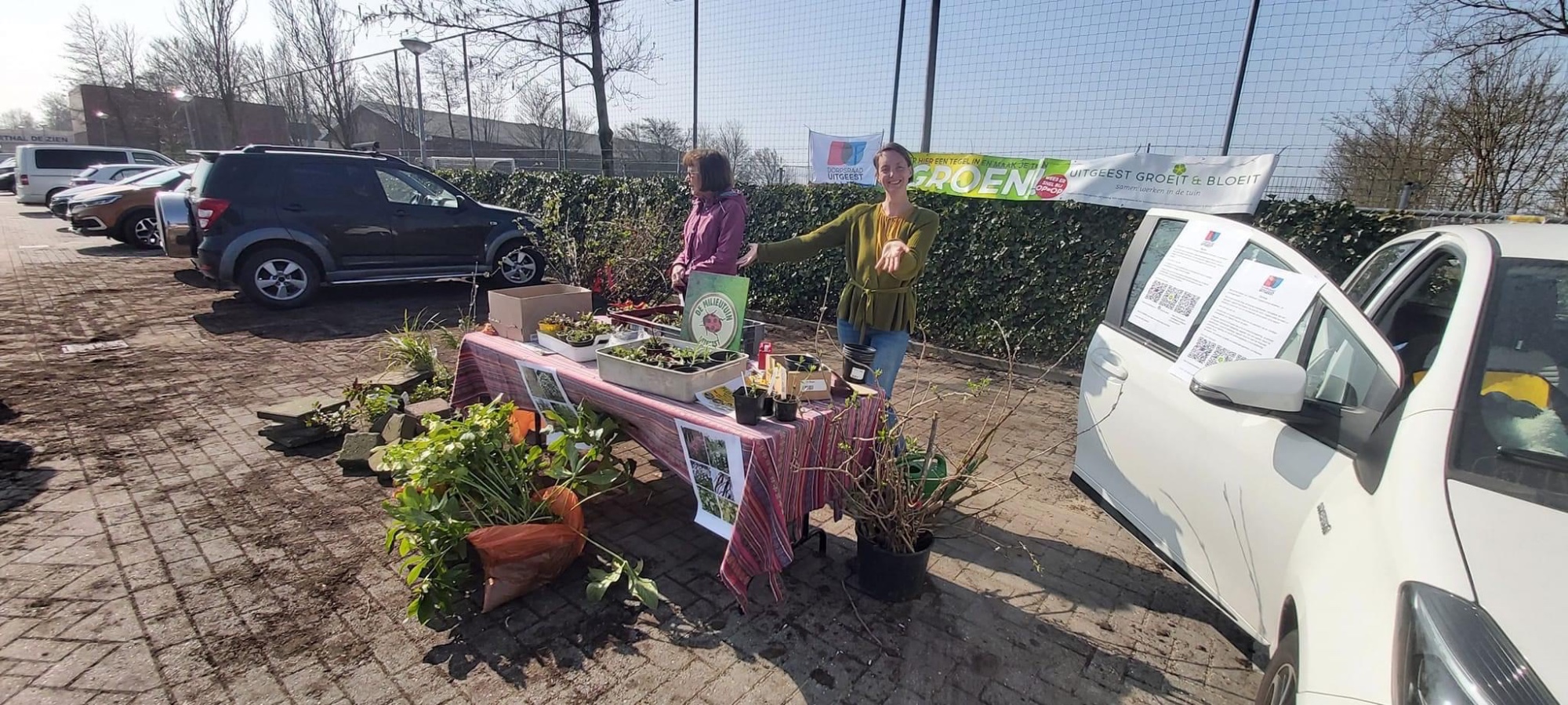 Lever aanstaande een tegel of plantje in en ruil deze voor een plantje van de Milieutuin Uitgeest of Meerbomen.nu. Lever aanstaande een tegel of plantje in en ruil deze voor een plantje van de Milieutuin Uitgeest of Meerbomen.nu.
